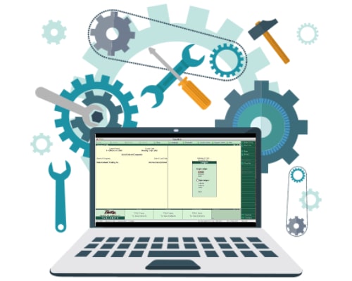 Tally Add-Ons & Customisation